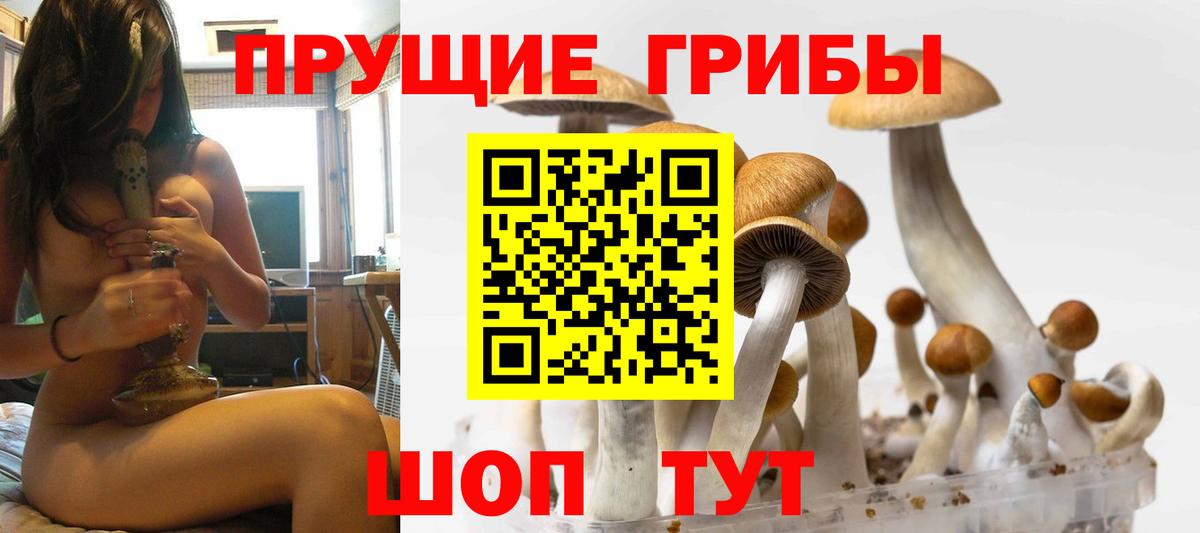 дарнет шоп  Вход с VPN  Ярцево  Галлюциногенные грибы прущие грибы 